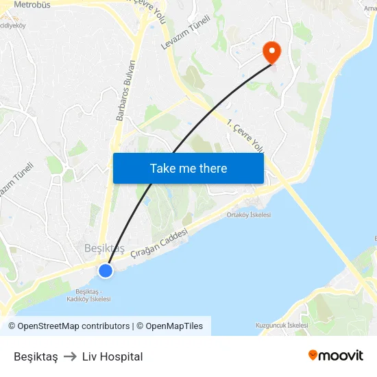 Beşiktaş to Liv Hospital map