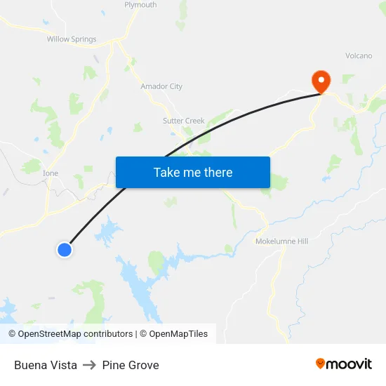 Buena Vista to Pine Grove map