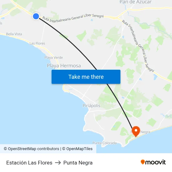 Estación Las Flores to Punta Negra map