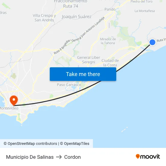 Municipio De Salinas to Cordon map