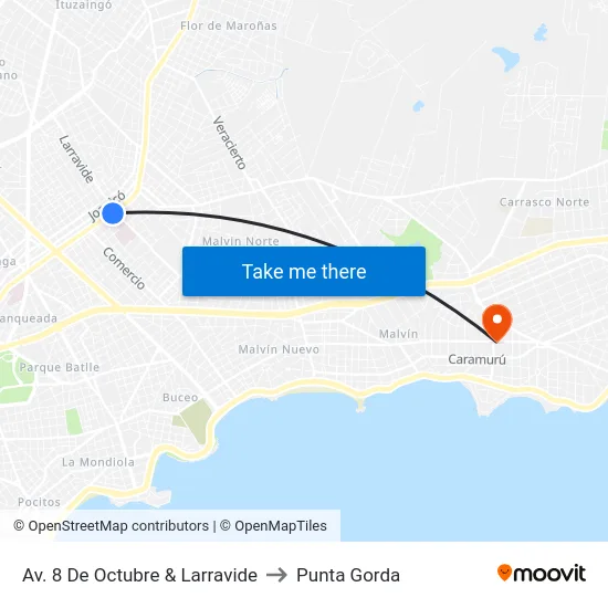 Av. 8 De Octubre & Larravide to Punta Gorda map