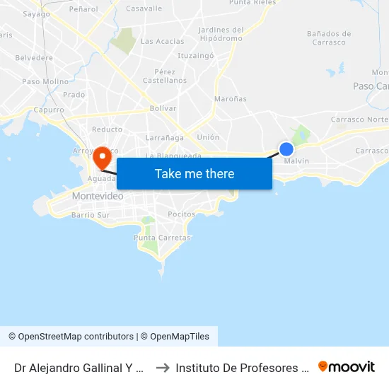 Dr Alejandro Gallinal Y Av Italia to Instituto De Profesores Artigas map