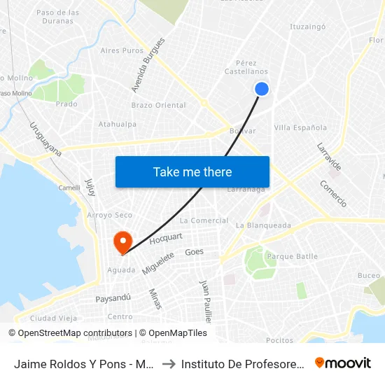 Jaime Roldos Y Pons - M De Salas to Instituto De Profesores Artigas map