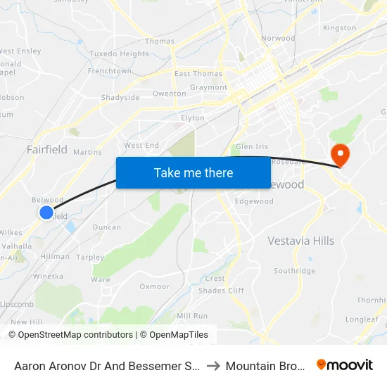 Aaron Aronov Dr And Bessemer Super Hwy to Mountain Brook, AL map