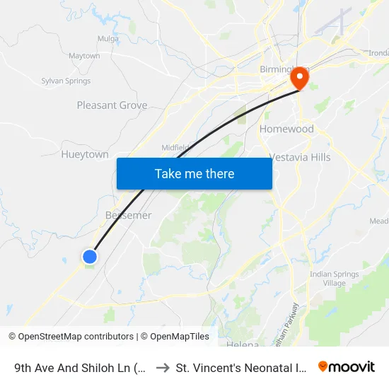 9th Ave And Shiloh Ln (Lawson State Coll to St. Vincent's Neonatal Intensive Care Unit map
