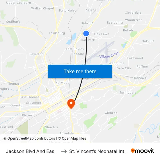 Jackson Blvd And East Lake Blvd (Ib) to St. Vincent's Neonatal Intensive Care Unit map