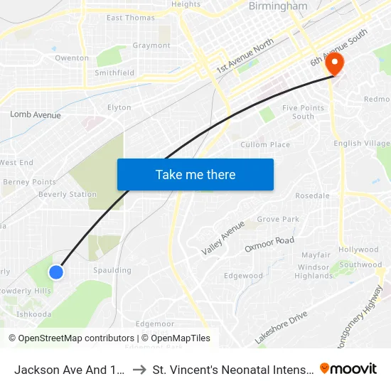 Jackson Ave And 16th St SW to St. Vincent's Neonatal Intensive Care Unit map