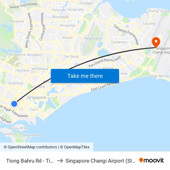 Tiong Bahru Rd - Tiong Bahru Stn (10169) to Singapore Changi Airport (SIN) (Xin Jia Po Zhang Yi Ji Chang) map