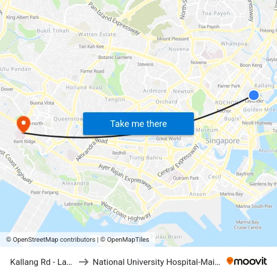 Kallang Rd - Lavender Stn Exit B (01311) to National University Hospital-Main Building Lobby B (NUH-Main Building Lobby B) map