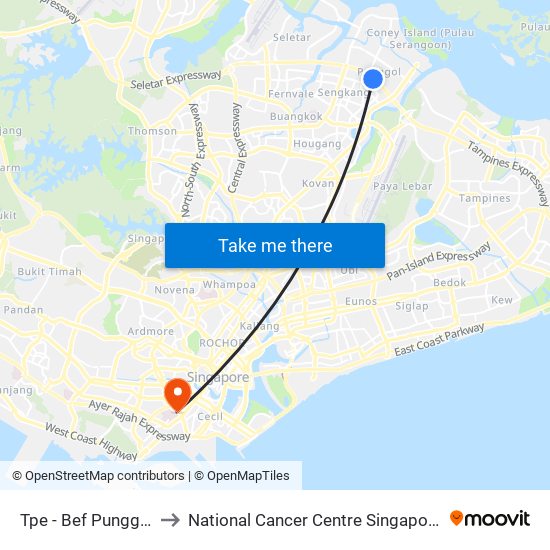 Tpe -  Bef Punggol Rd (65191) to National Cancer Centre Singapore Proton Therapy Centre map