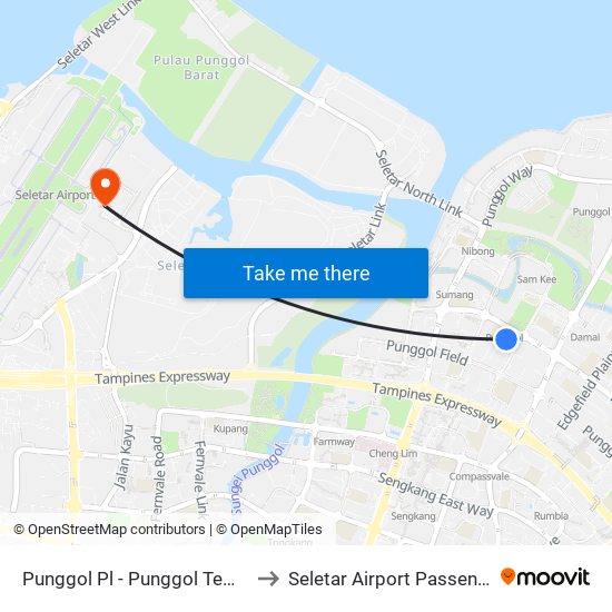 Punggol Pl - Punggol Temp Int (65009) to Seletar Airport Passenger Terminal map