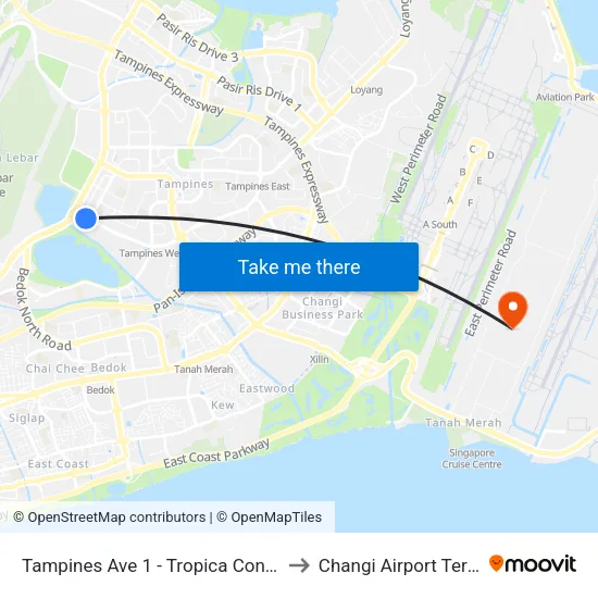 Tampines Ave 1 - Tropica Condo (75259) to Changi Airport Terminal 5 map