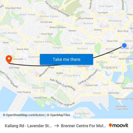 Kallang Rd - Lavender Stn Exit B (01311) to Brenner Centre For Molecular Medicine map