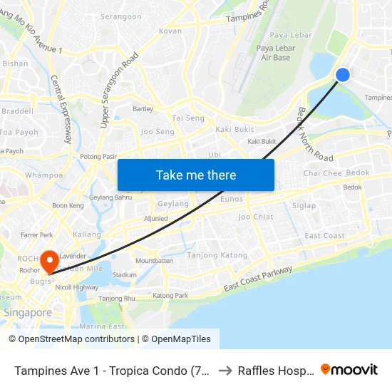 Tampines Ave 1 - Tropica Condo (75259) to Raffles Hospital map