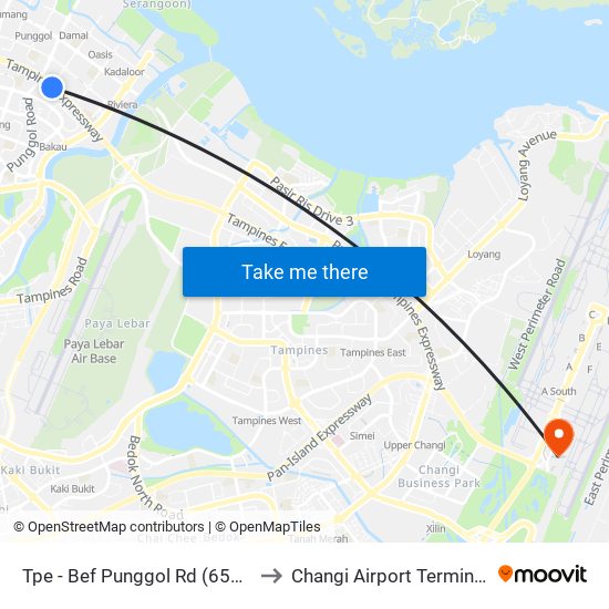 Tpe -  Bef Punggol Rd (65191) to Changi Airport Terminal 4 map