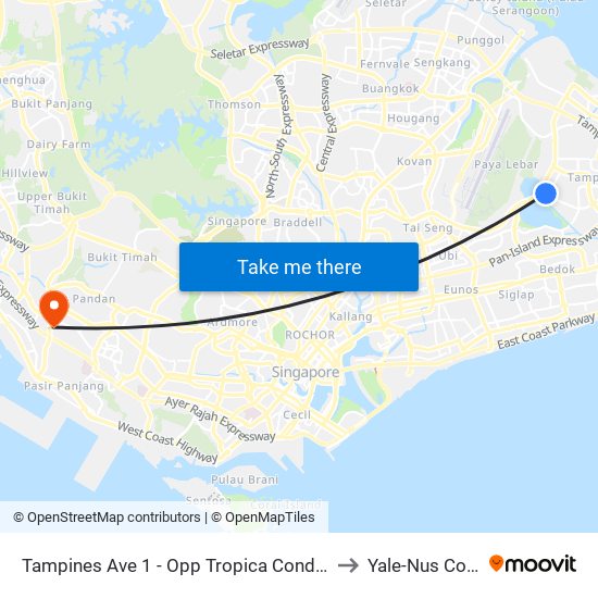 Tampines Ave 1 - Opp Tropica Condo (75251) to Yale-Nus College map