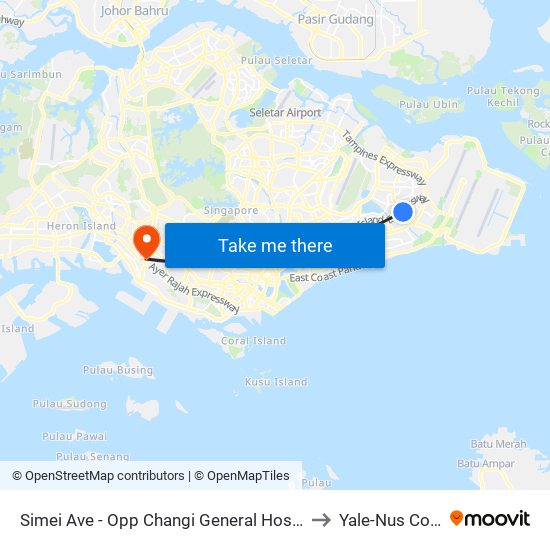 Simei Ave - Opp Changi General Hosp (96281) to Yale-Nus College map