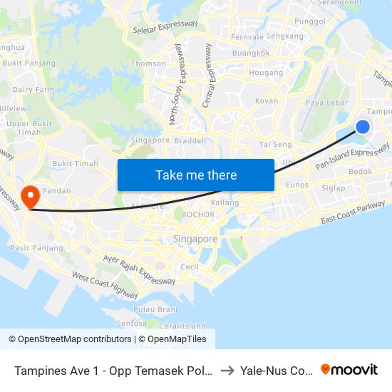 Tampines Ave 1 - Opp Temasek Poly (75231) to Yale-Nus College map