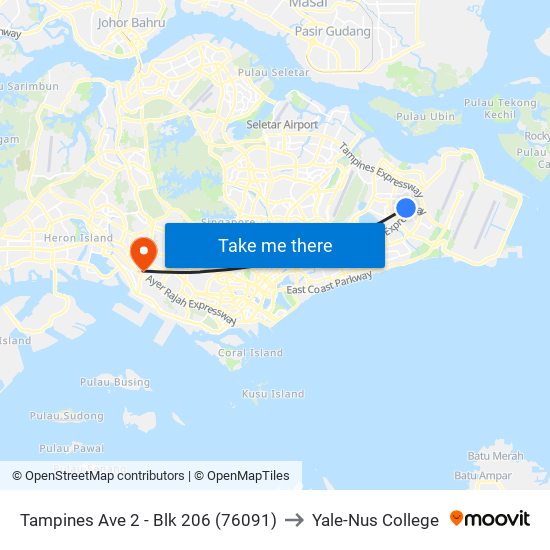 Tampines Ave 2 - Blk 206 (76091) to Yale-Nus College map