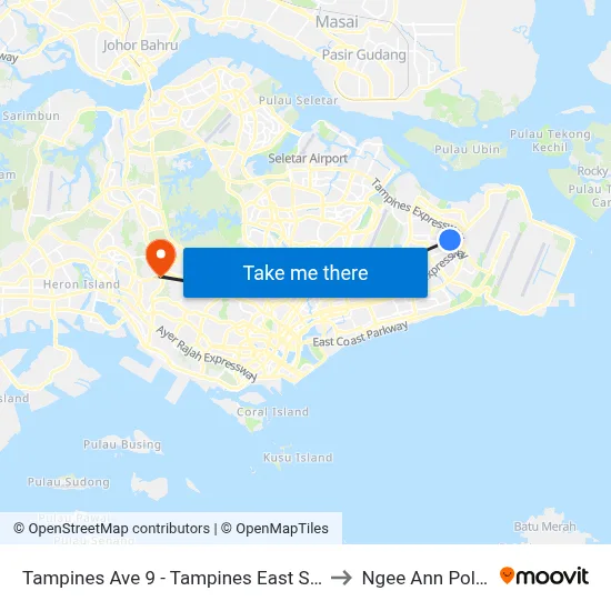 Tampines Ave 9 - Tampines East Stn Exit D (76319) to Ngee Ann Polytechnic map