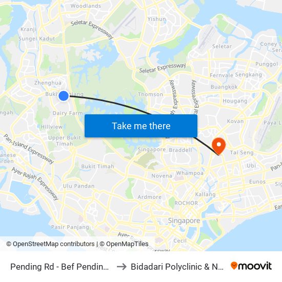 Pending Rd - Bef Pending Stn (44229) to Bidadari Polyclinic & Nursing Home map