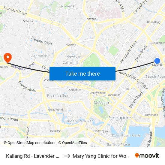 Kallang Rd - Lavender Stn Exit B (01311) to Mary Yang Clinic for Women & Adolescents map