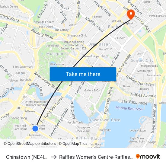 Chinatown (NE4|DT19) to Raffles Women's Centre-Raffles Hospital map