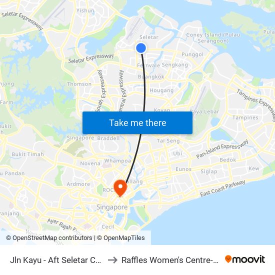 Jln Kayu - Aft Seletar Camp G (68119) to Raffles Women's Centre-Raffles Hospital map