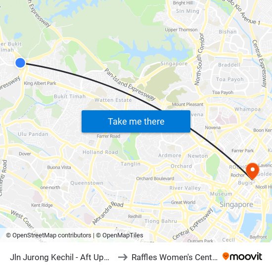 Jln Jurong Kechil - Aft Upp Bt Timah Rd (42259) to Raffles Women's Centre-Raffles Hospital map