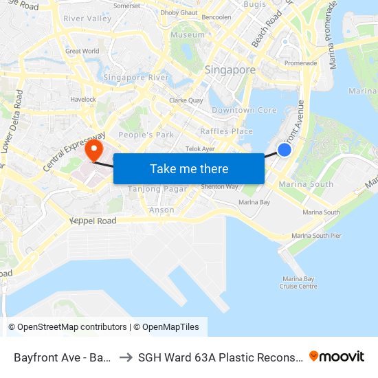 Bayfront Ave - Bayfront Stn Exit A (03519) to SGH Ward 63A Plastic Reconstructive Aesthetic Surgery/ Eye Surgery map