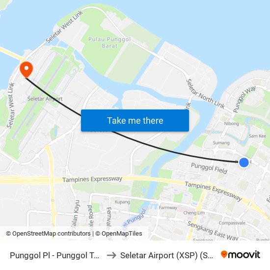 Punggol Pl - Punggol Temp Int (65009) to Seletar Airport (XSP) (Shi Li Da Ji Chang) map