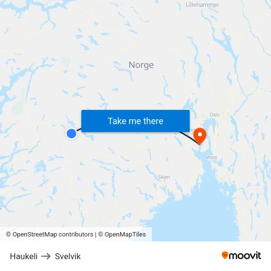 Haukeli to Svelvik map