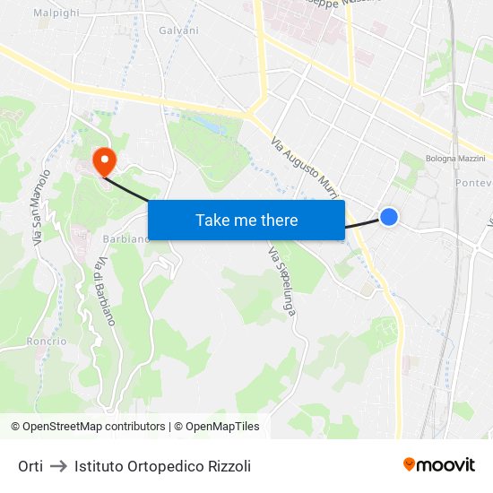 Orti to Istituto Ortopedico Rizzoli map