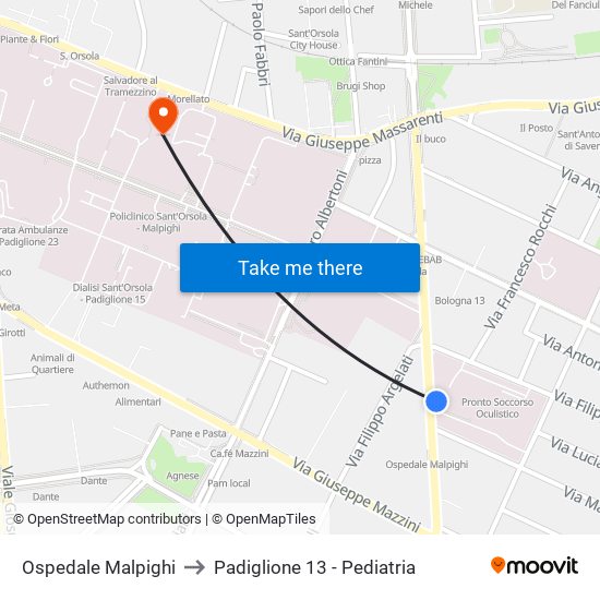 Ospedale Malpighi to Padiglione 13 - Pediatria map