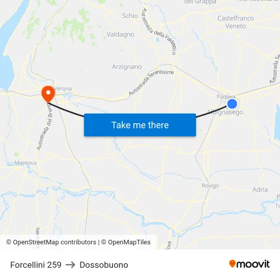 Forcellini 259 to Dossobuono map