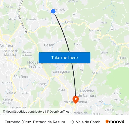 Fermêdo (Cruz. Estrada de Resumil) to Vale de Cambra map