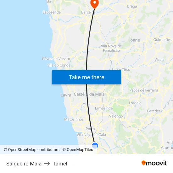 Salgueiro Maia to Tamel map
