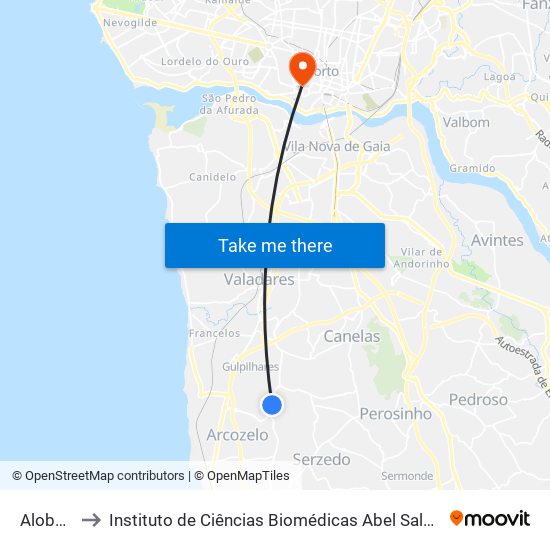 Alober Bar to Instituto de Ciências Biomédicas Abel Salazar - Polo de Medicina map