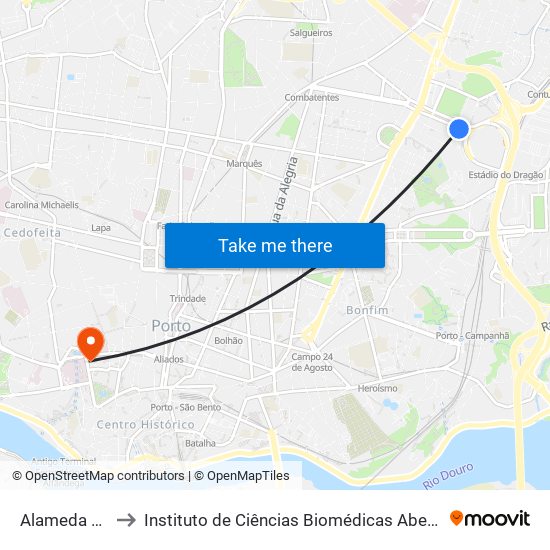 Alameda das Antas to Instituto de Ciências Biomédicas Abel Salazar - Polo de Medicina map