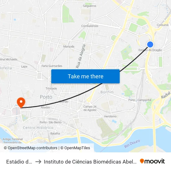 Estádio do Dragão to Instituto de Ciências Biomédicas Abel Salazar - Polo de Medicina map