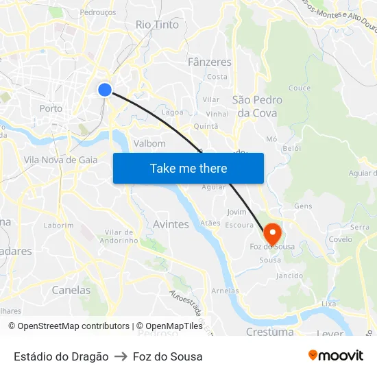 Estádio do Dragão to Foz do Sousa map