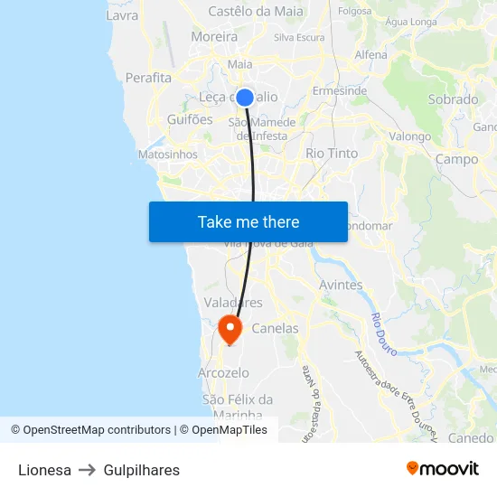 Lionesa to Gulpilhares map