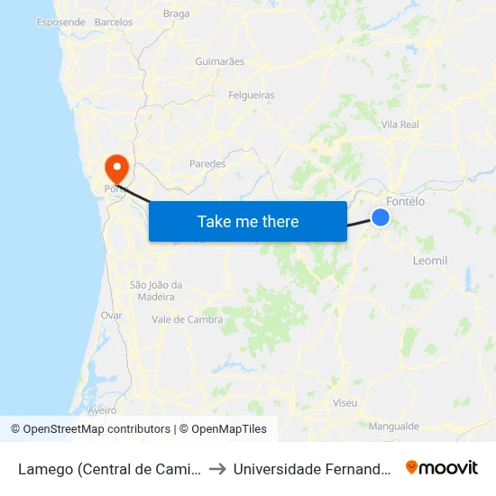 Lamego (Central de Camionagem) to Universidade Fernando Pessoa map