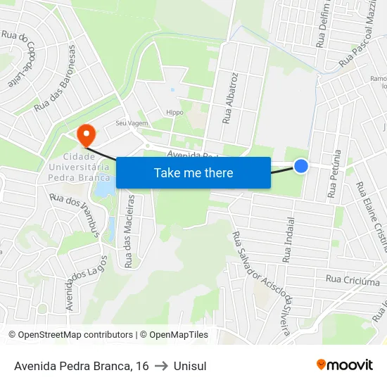 Avenida Pedra Branca, 16 to Unisul map