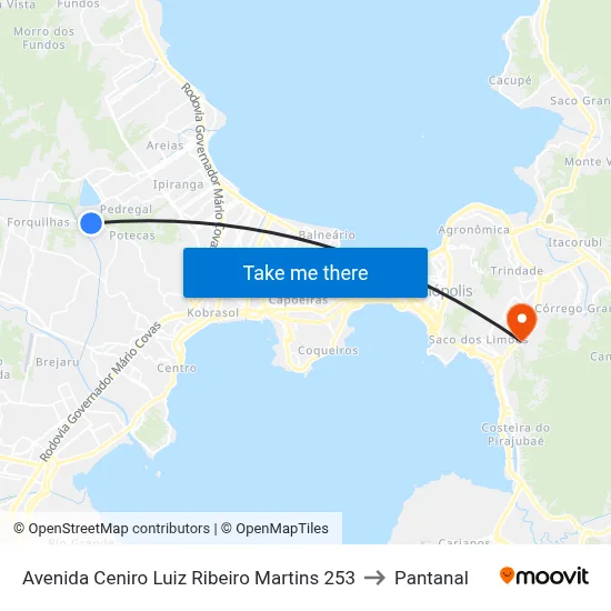 Avenida Ceniro Luiz Ribeiro Martins 253 to Pantanal map