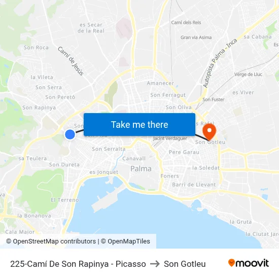 225-Camí De Son Rapinya - Picasso to Son Gotleu map