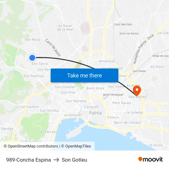 989-Concha Espina to Son Gotleu map