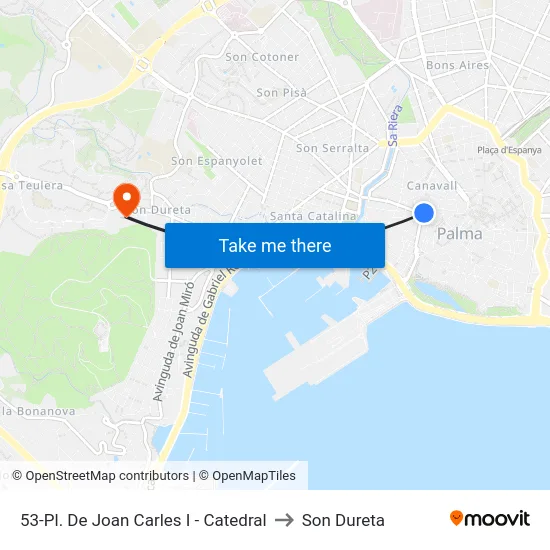 53-Pl. De Joan Carles I - Catedral to Son Dureta map