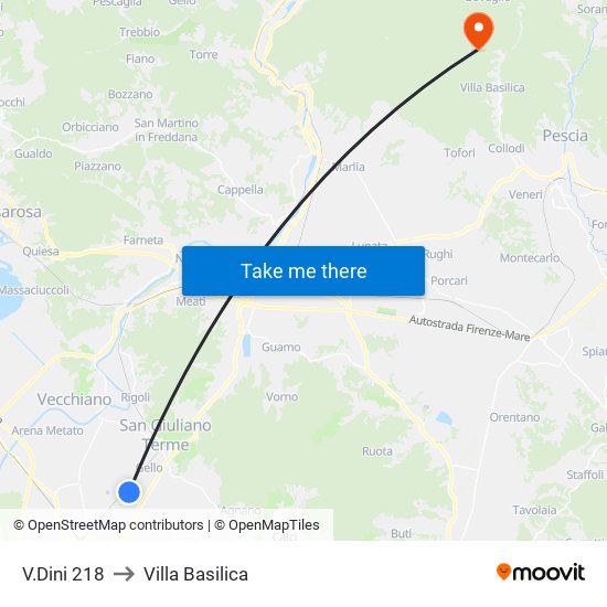 V.Dini 218 to Villa Basilica map