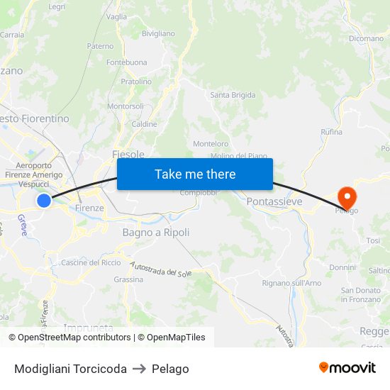 Modigliani Torcicoda to Pelago map